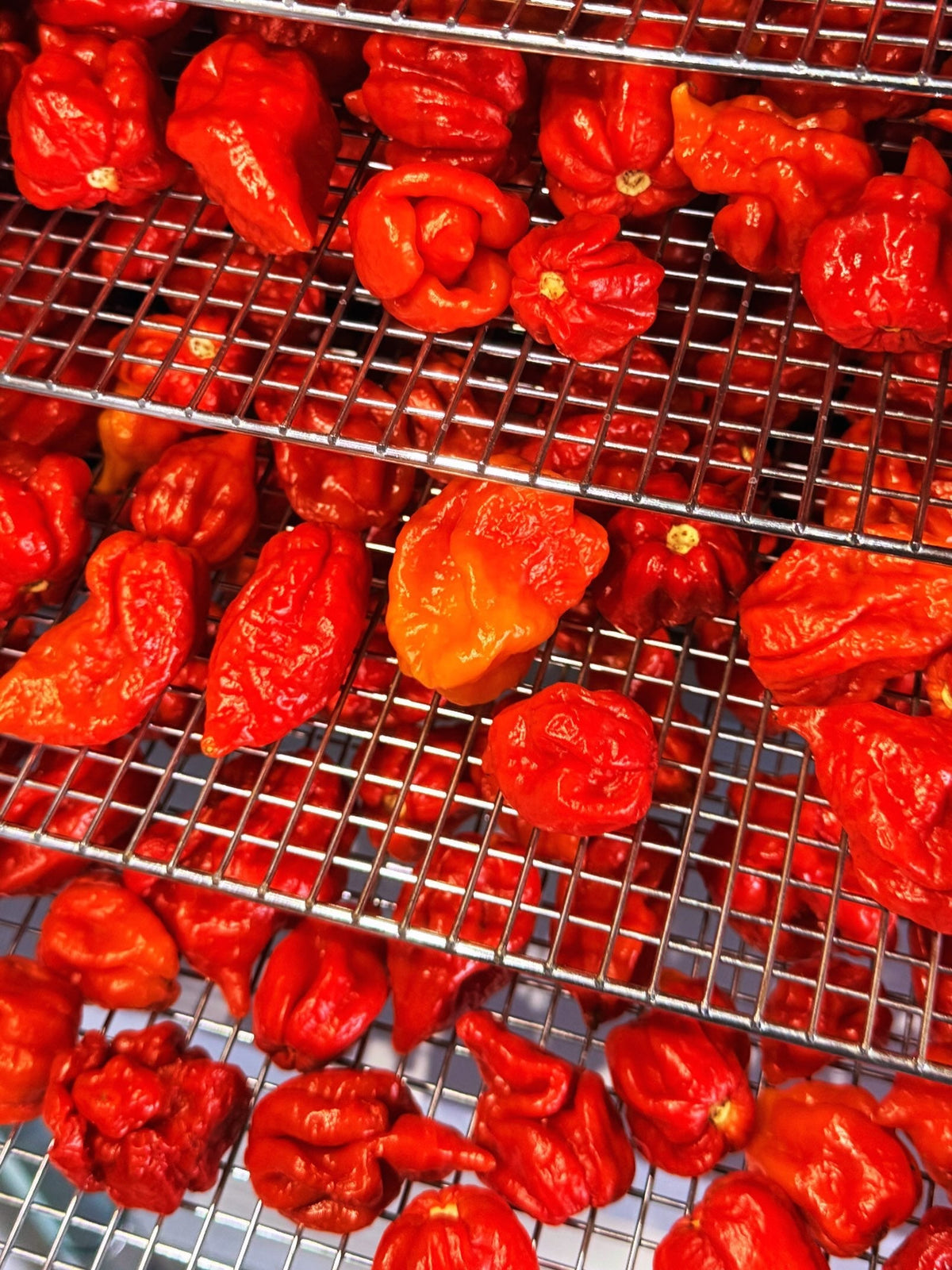 Chris Must List Is Creating His Own Hot Sauce with the help of Fury Hot Sauce